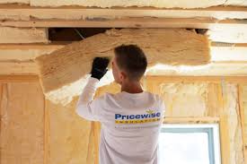 Best Basement Insulation  in Passapatanzy, VA