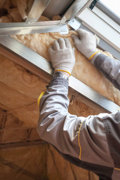 Best Attic Insulation Installation  in Passapatanzy, VA