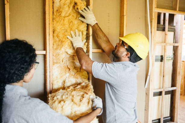 Best Wall Insulation Installation  in Passapatanzy, VA